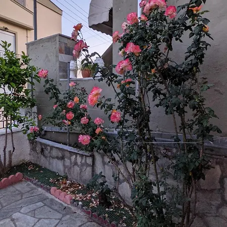 Yrida In Pelion 1 * Ano Volos